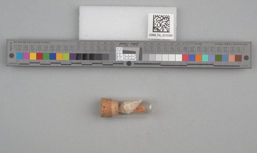 NSF ADBC EPICC TCN