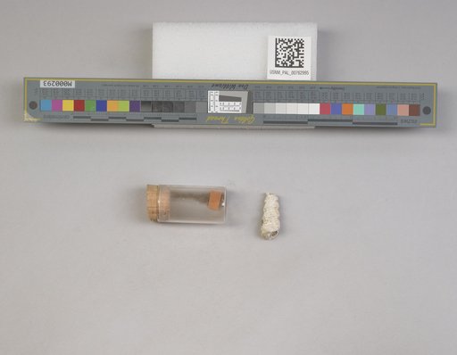 NSF ADBC EPICC TCN