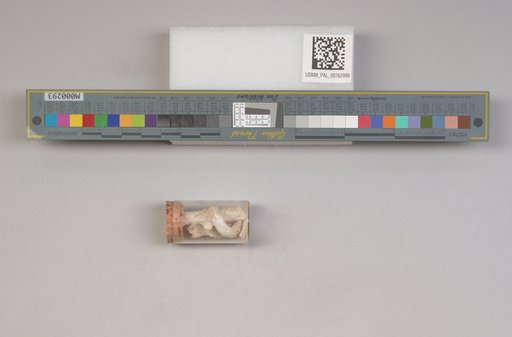 NSF ADBC EPICC TCN