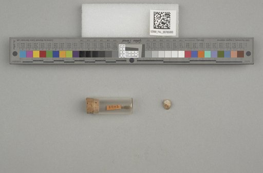 NSF ADBC EPICC TCN