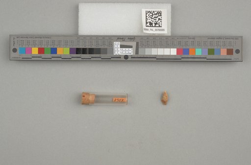 NSF ADBC EPICC TCN