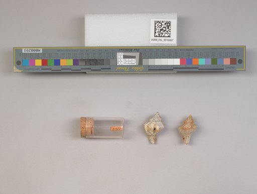NSF ADBC EPICC TCN