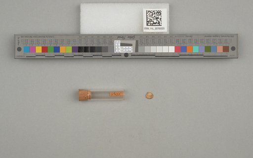 NSF ADBC EPICC TCN
