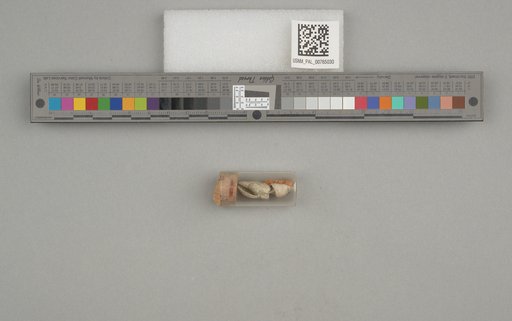 NSF ADBC EPICC TCN