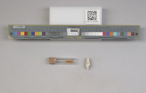 NSF ADBC EPICC TCN