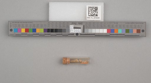 NSF ADBC EPICC TCN