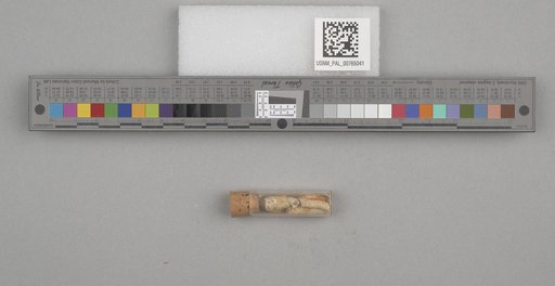 NSF ADBC EPICC TCN