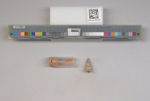 NSF ADBC EPICC TCN