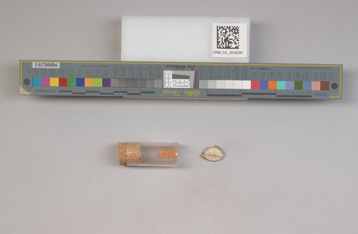 NSF ADBC EPICC TCN