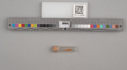 NSF ADBC EPICC TCN