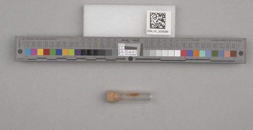 NSF ADBC EPICC TCN