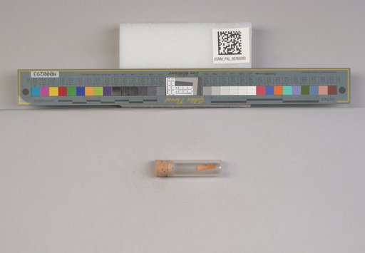 NSF ADBC EPICC TCN