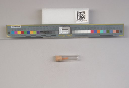 NSF ADBC EPICC TCN