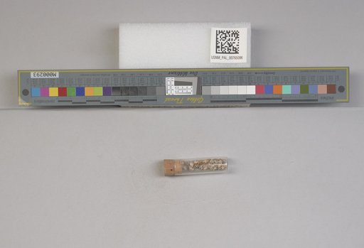 NSF ADBC EPICC TCN