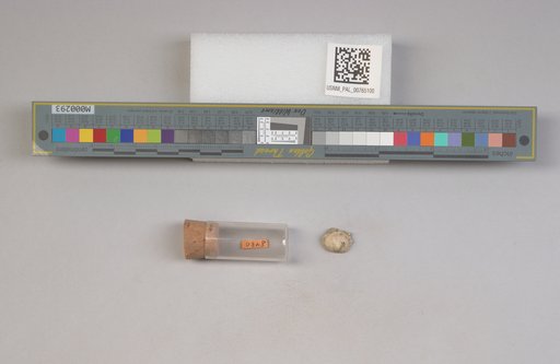 NSF ADBC EPICC TCN