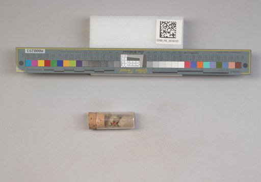 NSF ADBC EPICC TCN