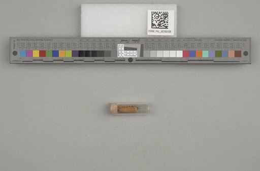 NSF ADBC EPICC TCN