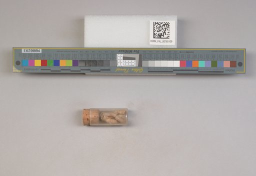 NSF ADBC EPICC TCN