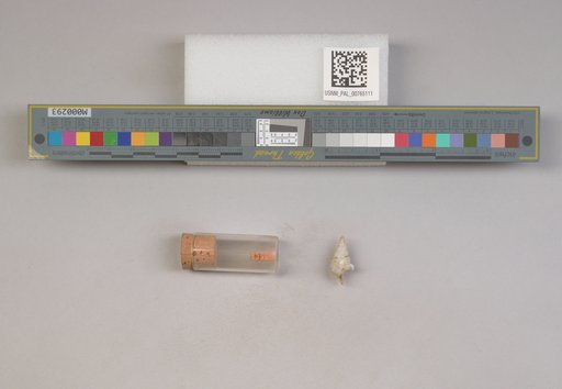 NSF ADBC EPICC TCN