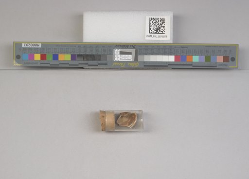 NSF ADBC EPICC TCN