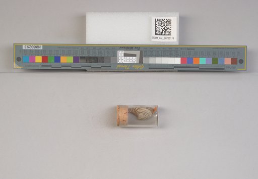 NSF ADBC EPICC TCN