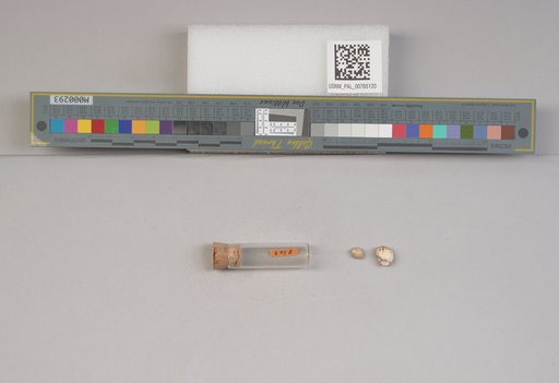 NSF ADBC EPICC TCN
