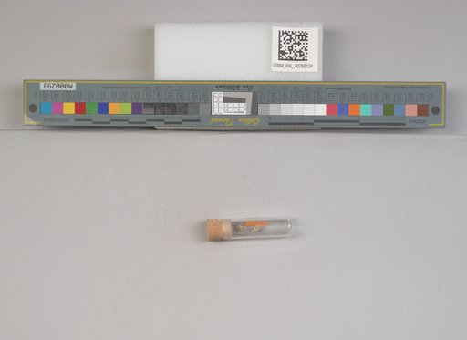 NSF ADBC EPICC TCN