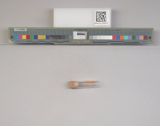 NSF ADBC EPICC TCN