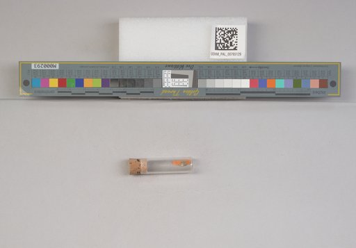 NSF ADBC EPICC TCN