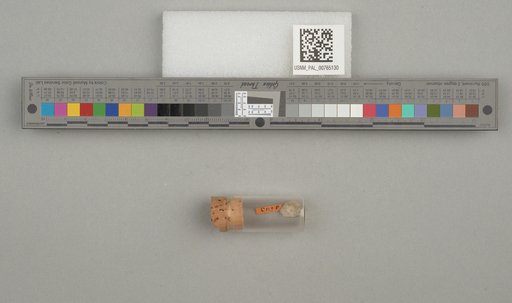 NSF ADBC EPICC TCN