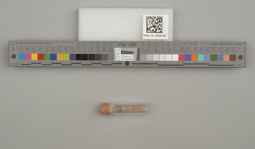 NSF ADBC EPICC TCN