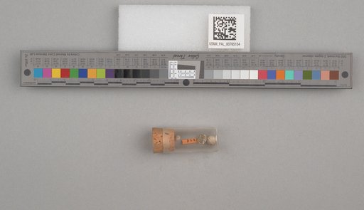 NSF ADBC EPICC TCN