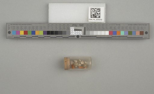 NSF ADBC EPICC TCN