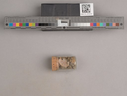 NSF ADBC EPICC TCN