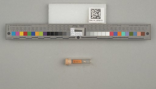 NSF ADBC EPICC TCN