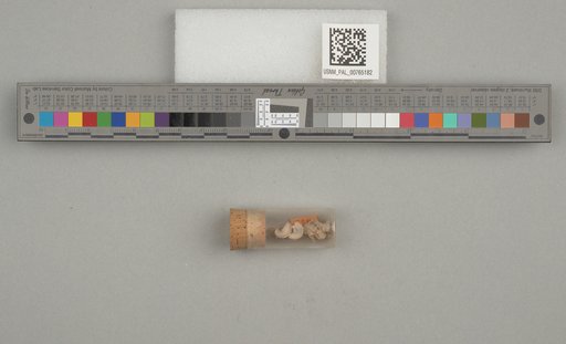 NSF ADBC EPICC TCN