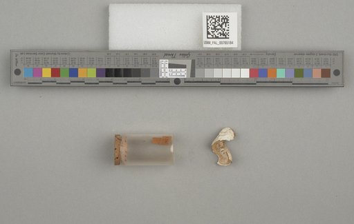 NSF ADBC EPICC TCN