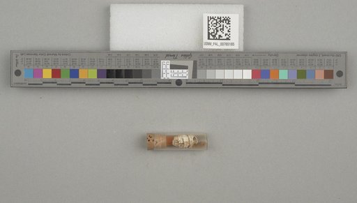 NSF ADBC EPICC TCN