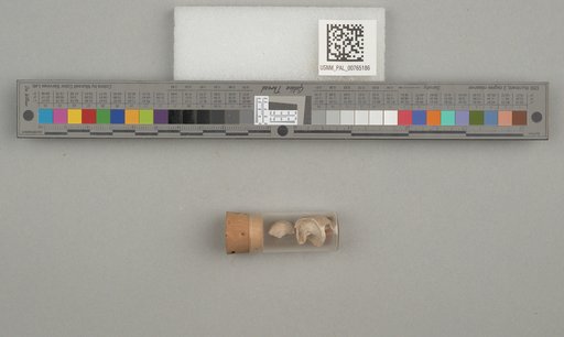NSF ADBC EPICC TCN