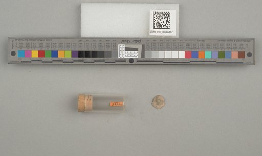 NSF ADBC EPICC TCN