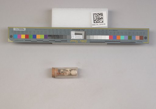 NSF ADBC EPICC TCN