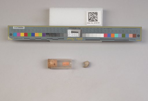 NSF ADBC EPICC TCN