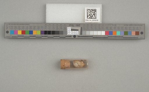 NSF ADBC EPICC TCN