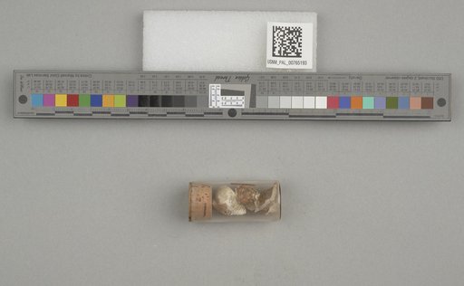 NSF ADBC EPICC TCN