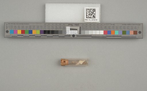 NSF ADBC EPICC TCN