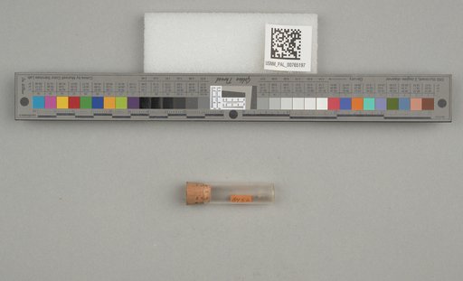 NSF ADBC EPICC TCN