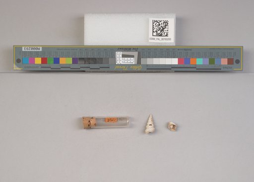NSF ADBC EPICC TCN
