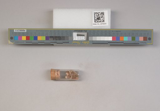 NSF ADBC EPICC TCN