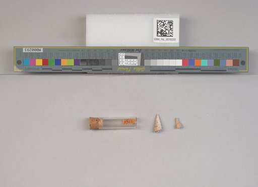 NSF ADBC EPICC TCN