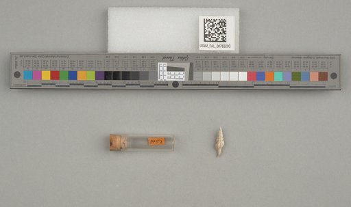 NSF ADBC EPICC TCN